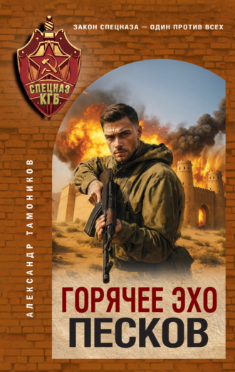 Александр Тамоников, Горячее эхо песков
